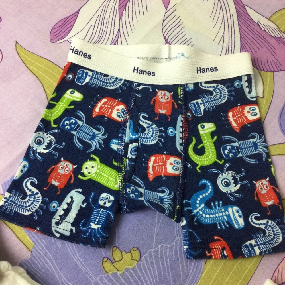 NWOT  Hanes Lot Toddler Boy boxers  & socks